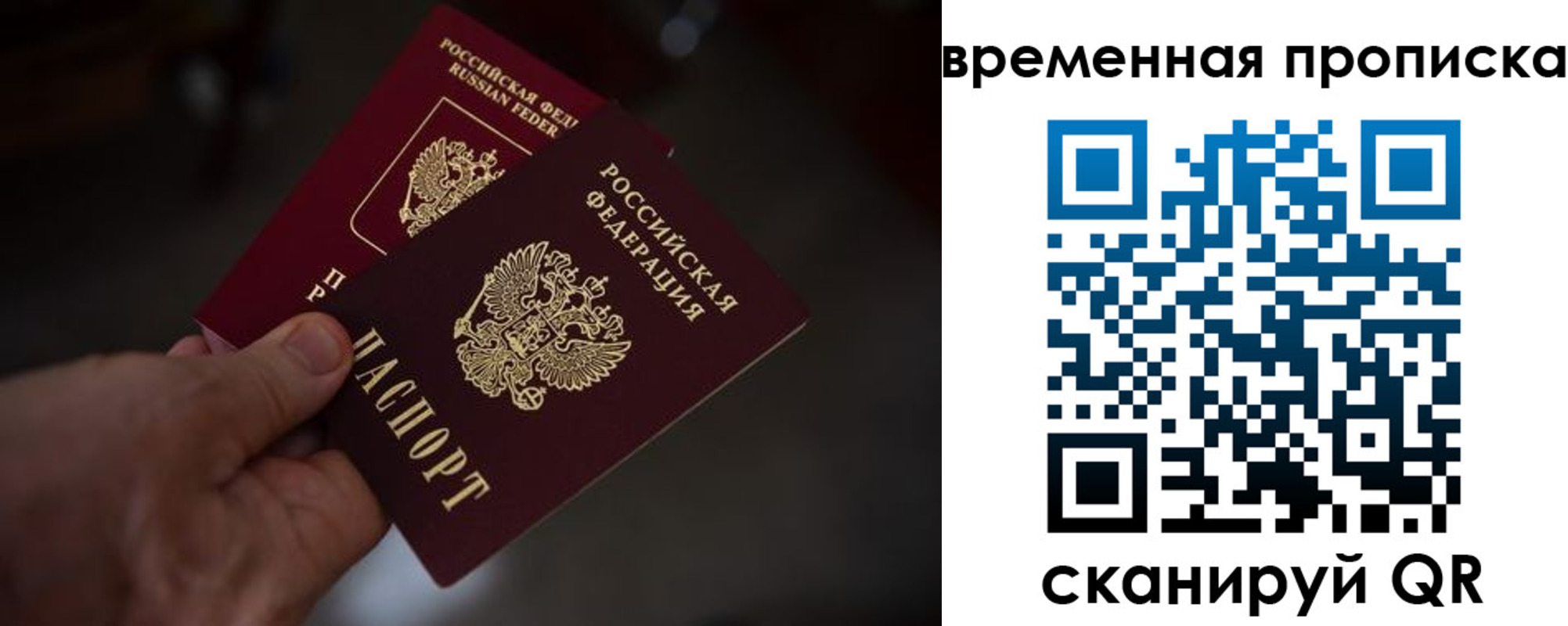 прописка в Волосово